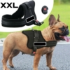 Ham pentru caini SENIOR DOG XXL (90 - 120cm)