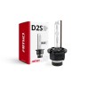 Bec auto xenon D2S 4300K Basic